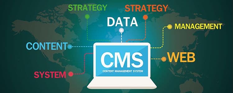 content management system